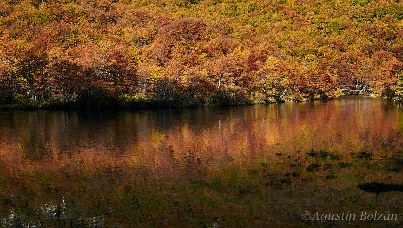 Patagonia  otoñal - Autumn Patagonia