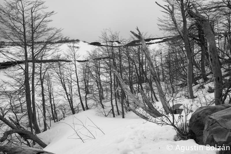 Blanco y Negro  -  Black & White