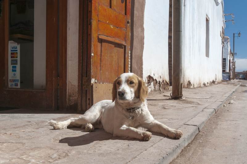 Civilización - Civilisation