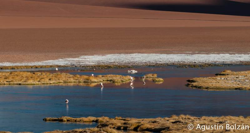 Paisajes  - Landscapes