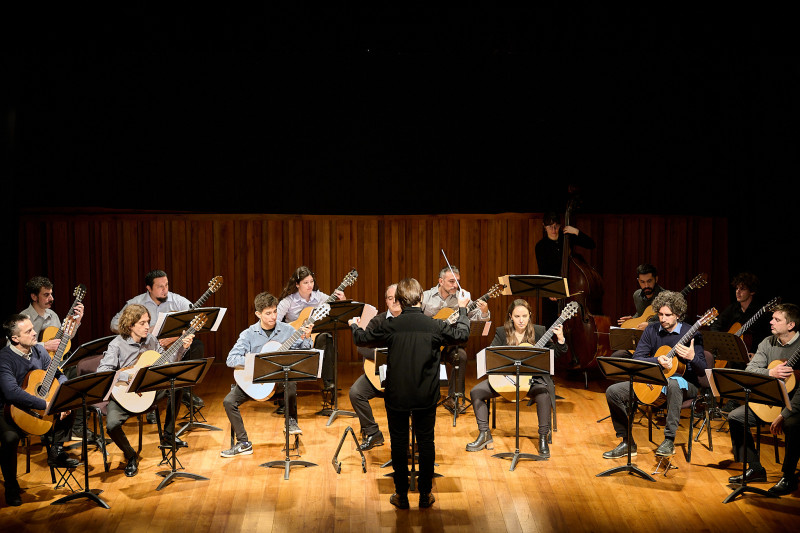 Camerata de Guitarras